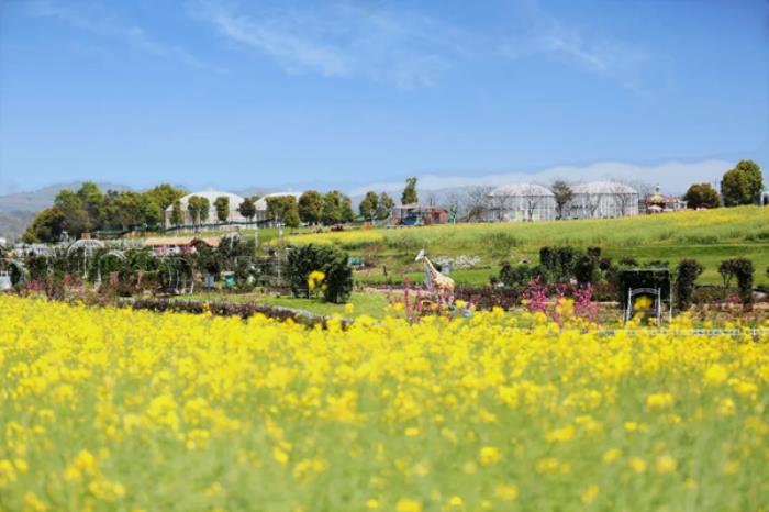 湖北春季(3月-4月)赏花地图