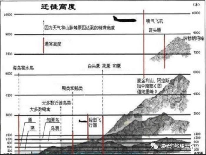 东非大裂谷为什么被称作地球上最大的伤疤？