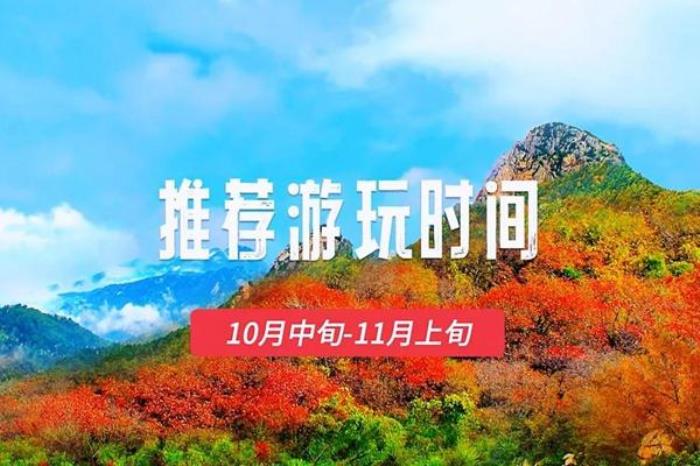 2023沂蒙山云蒙景区赏秋攻略 附绝美打卡点推荐