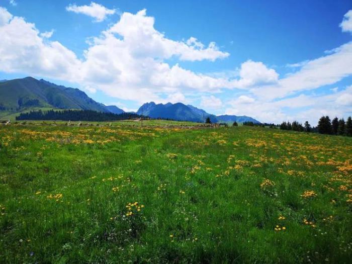 乌鲁木齐周边除了天山天池，还有个地方值得一去，安静游客少