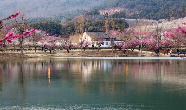 香山景区