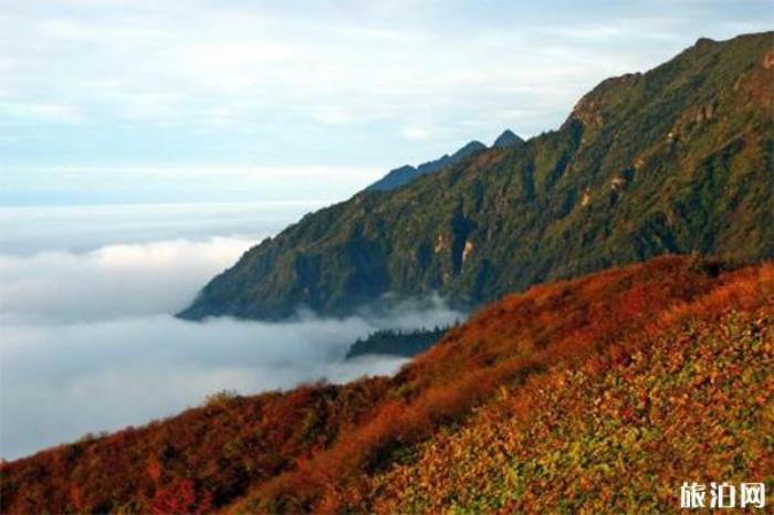 蓥华山风景区