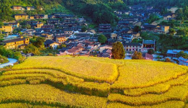 桂峰古村落景区