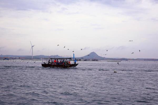 桑沟湾海洋牧场