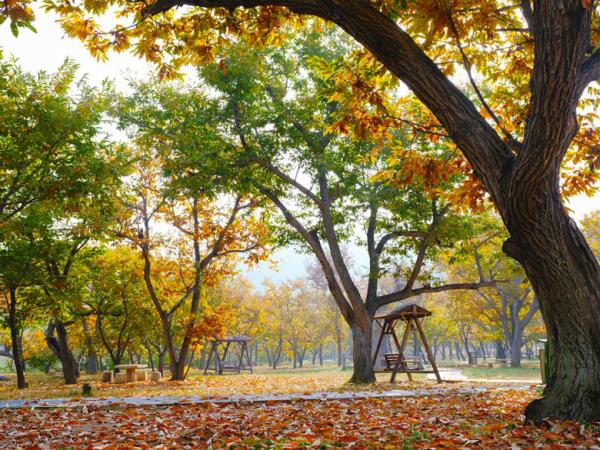 北京黄花城水长城