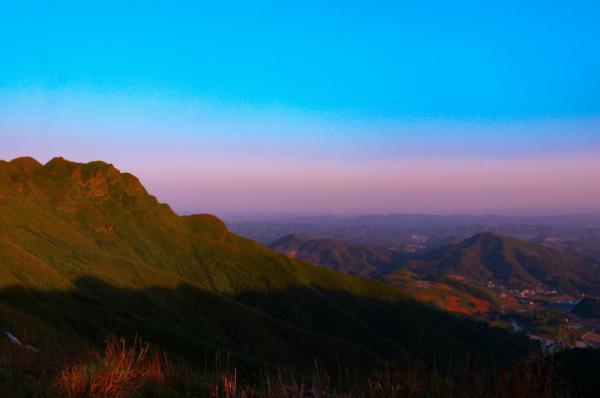 太阳坪映山红景区