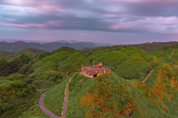 太阳坪映山红景区