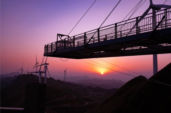 太阳坪映山红景区