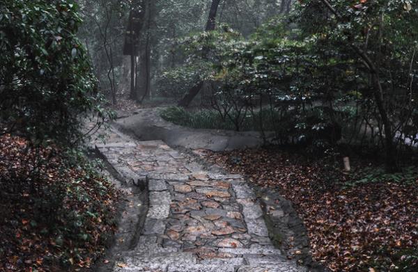 普洱茶马古道旅游景区