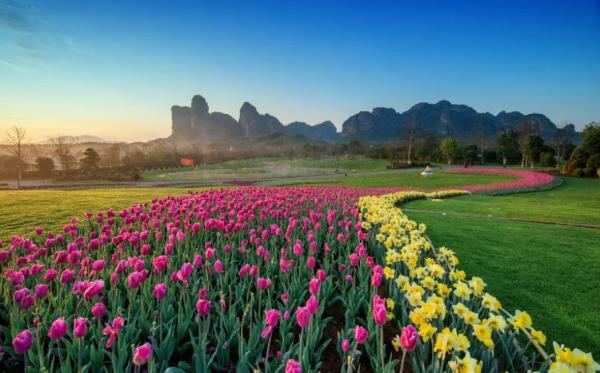 鹰潭龙虎山花语世界景区