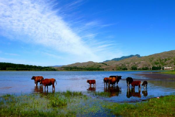 芦芽山风景名胜区