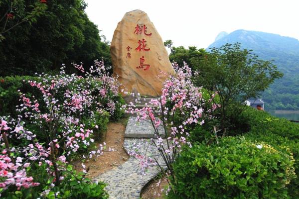 桃花冲森林公园