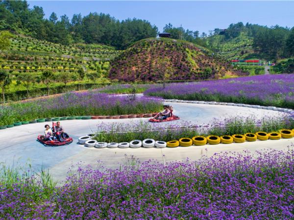 英山四季花海景区