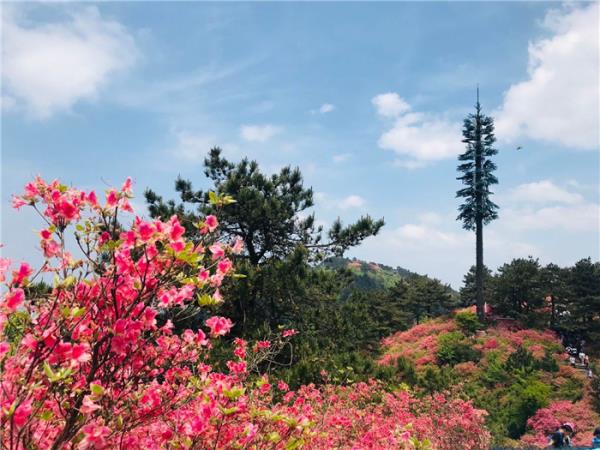 麻城龟峰山景区