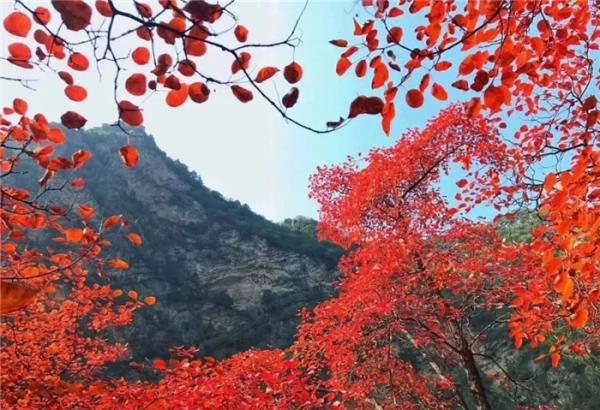 咸阳郑国渠风景区