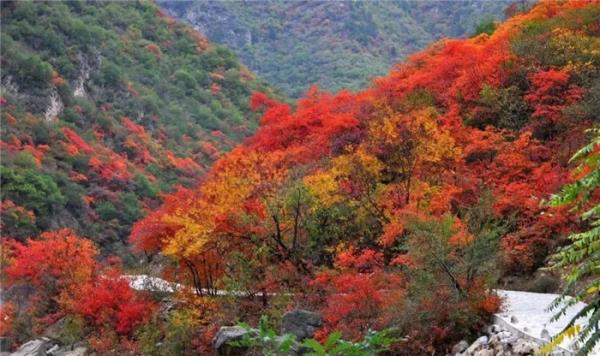 咸阳郑国渠风景区