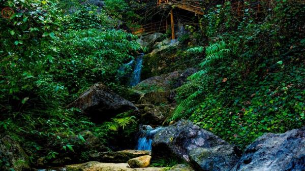 三峡九凤谷风景区