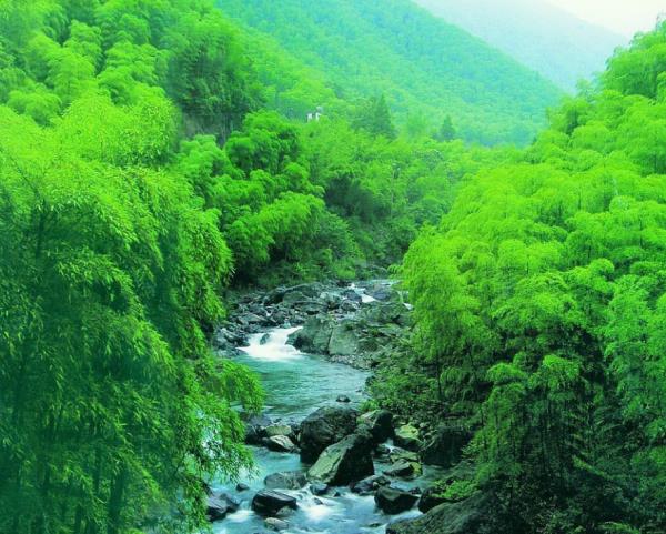 宜昌-三峡竹海