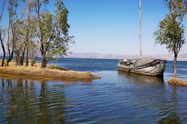 洱海月湿地公园