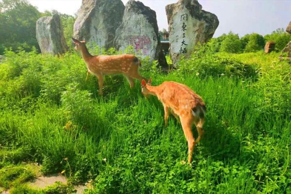 长白山狩猎度假区