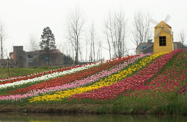 百万花海风景区