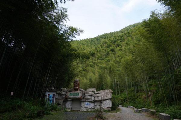 木坑竹海景区