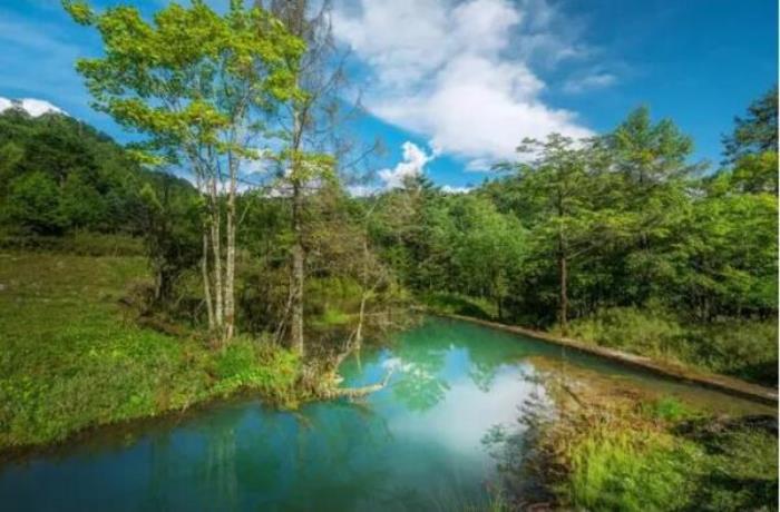 雅安二郎山喇叭河