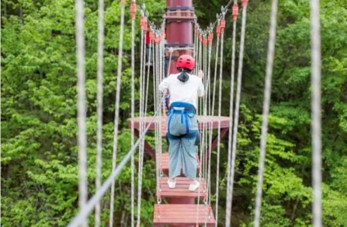 雅安二郎山喇叭河