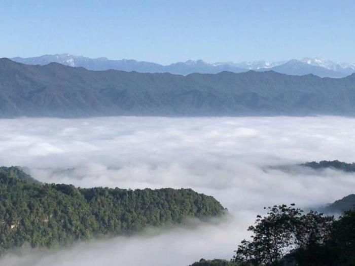 雅安蒙顶山