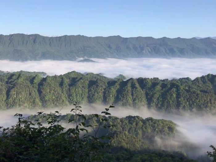 雅安蒙顶山