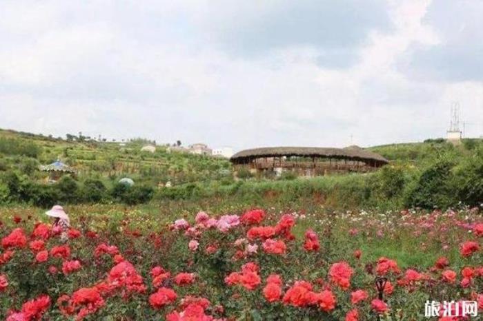 多乐原风景区