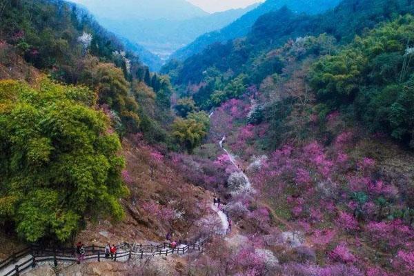 丹景山风景区