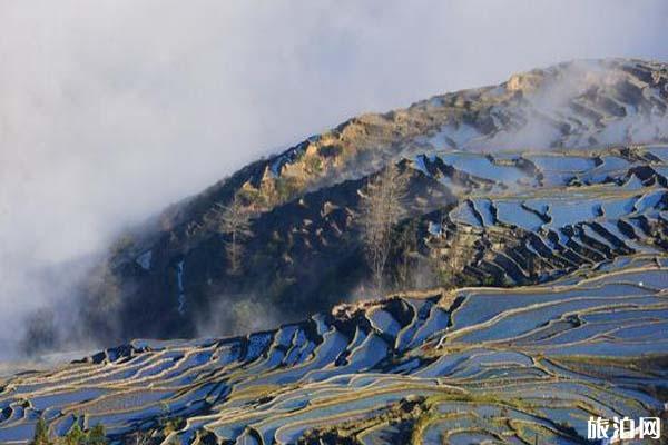 元阳哈尼梯田景区