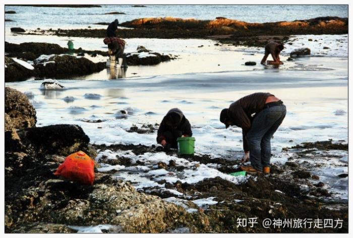 泰国旅游私人导游_私人导游_香港私人女导游