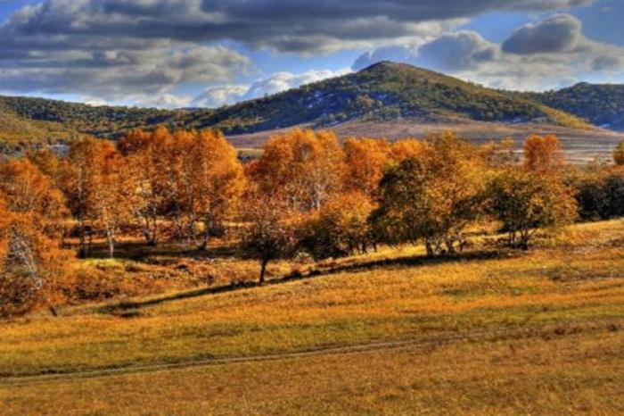 木兰围场坝上草原在哪里?怎么去? 木兰围场坝上草原在哪里?怎么去?