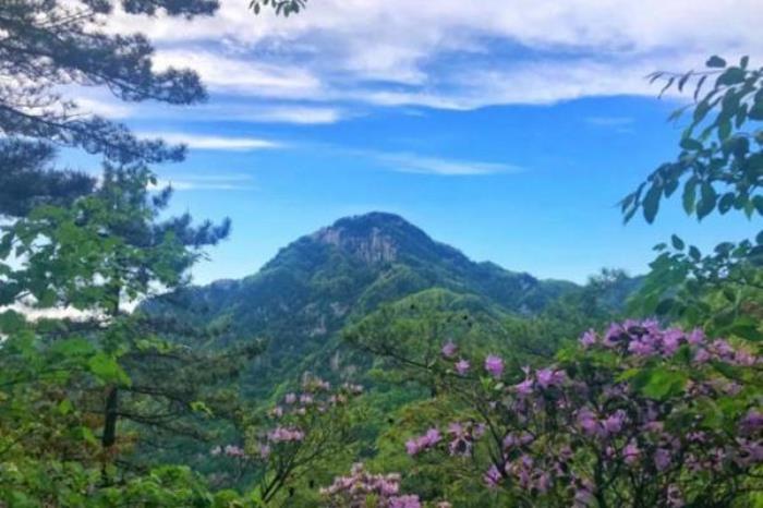 老界岭一日游玩攻略 老界岭一日游玩攻略