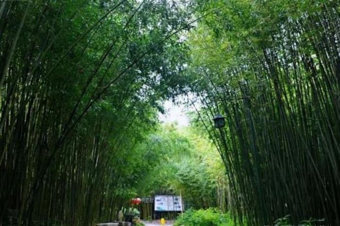 竹泉村都有什么好玩的景点 竹泉村都有什么好玩的景点