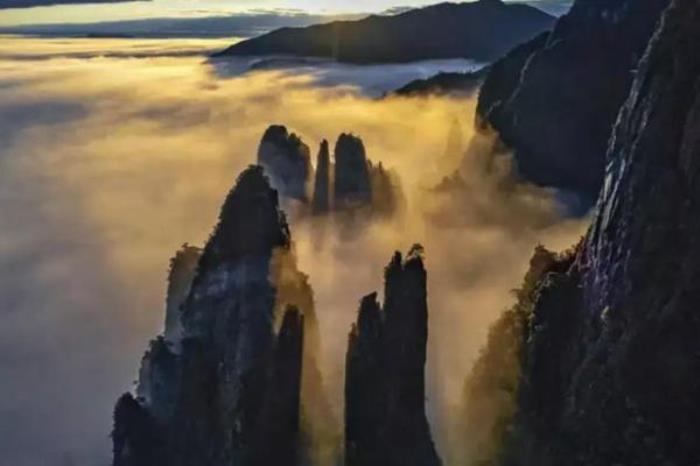 莽山在哪里?怎么去? 莽山在哪里?怎么去?