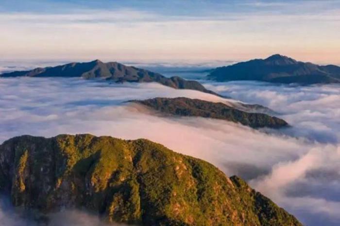 莽山在哪里?怎么去? 莽山在哪里?怎么去?