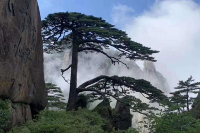 黄山风景区一日游最佳路线 黄山风景区一日游最佳路线