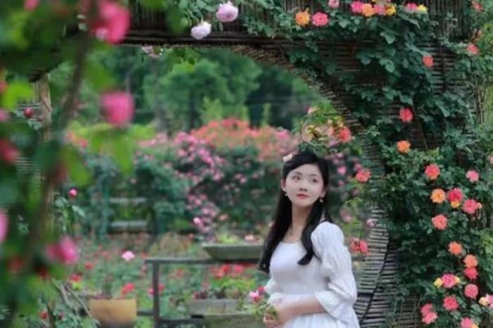 都江堰夏季游玩指南 都江堰夏季游玩指南