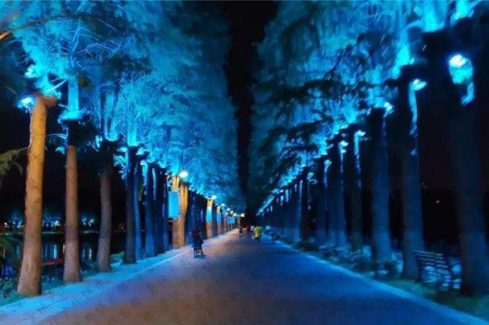 东湖绿道24小时开放吗 东湖绿道24小时开放吗