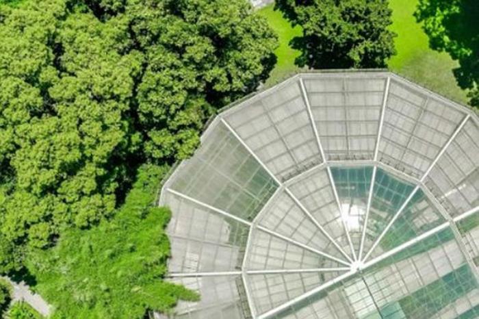 武汉植物园一日游最佳路线