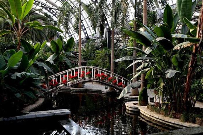 2022天津热带植物观光园门票多少钱 附最新开放时间及地址 2022天津热带植物观光园门票多少钱 附最新开放时间及地址