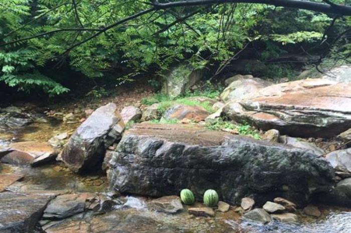 2022连云港渔湾风景区最新开放时间