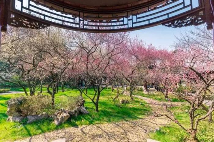 南京古林公园有什么好玩的 景点介绍一览 南京古林公园有什么好玩的 景点介绍一览