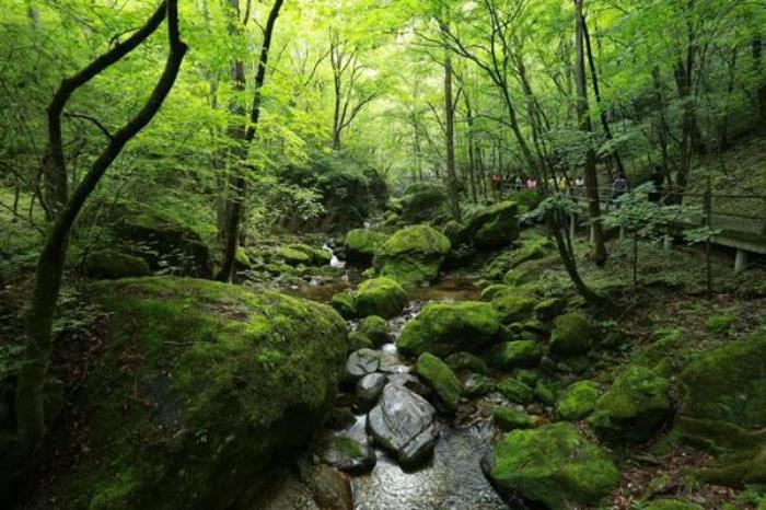 2022牛背梁漂流开放时间及门票价格 2022牛背梁漂流开放时间及门票价格