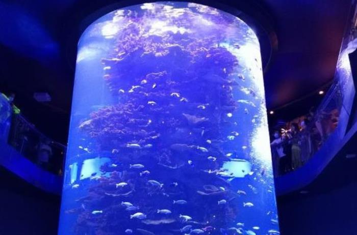 青岛海底世界介绍和特点 青岛海底世界介绍和特点