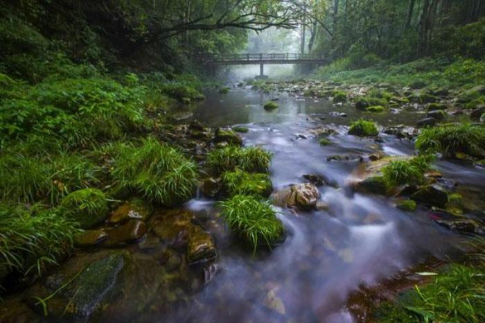 张家界国家森林公园有哪些旅游景点 张家界国家森林公园有哪些旅游景点