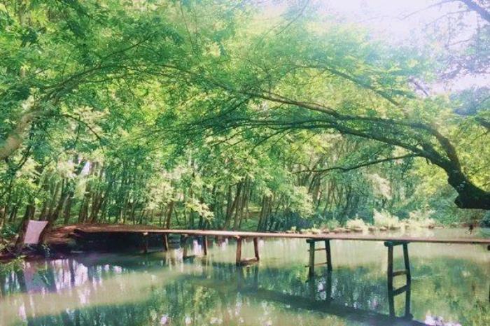 中国版绿野仙踪景点在哪?有什么好玩的? 中国版绿野仙踪景点在哪?有什么好玩的?